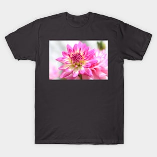 dahlia T-Shirt